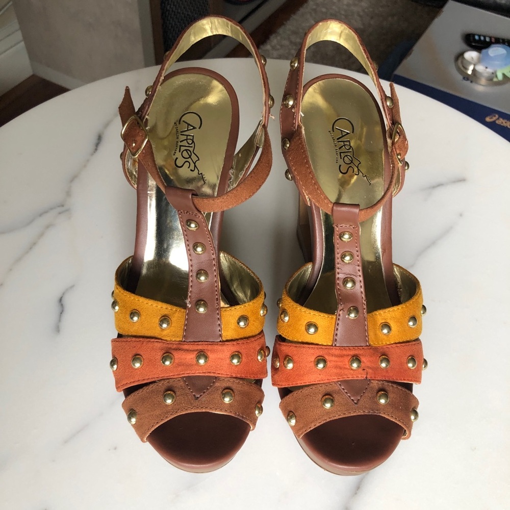 Colorful Wedges